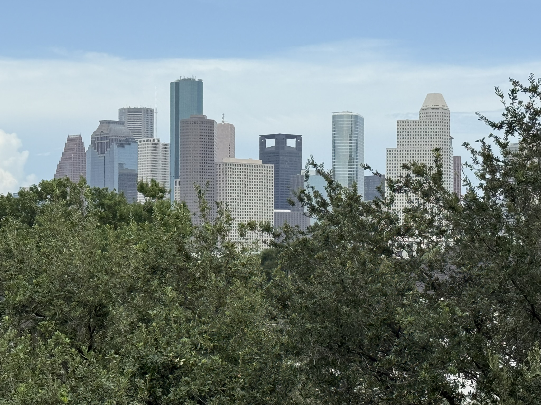 Renaissance at Montrose skyline